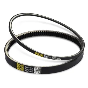 BlueStars 1016203 Drive Belt & 101916701 Starter Generator Belt Set - Compatible with Club Car 1992-Up DS and 2004-Up Precedent Gas Golf Carts