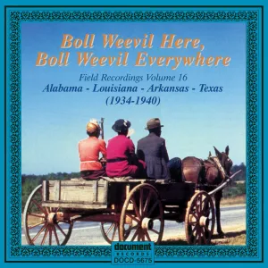 Boll Weevil Here Boll Weevil Everywhere Field Recordings 16: 1934-1940