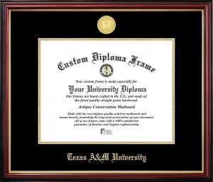 Campus Images Texas A&M University Petite Diploma Frame 12.5" H x 16" W, Gold Embossed