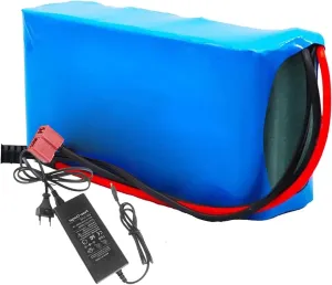 E-Bike Battery 24V 25.2V 6000mAh Waterproof Battery Pack for Electric Bicycle Scooter 100W-500W Motors Includes Charger