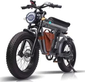 Ebike with 1200W Brushless Motor,Removable 48V 20Ah Battery,UP to 32MPH,Electric Mountain Bike with 20" Fat Tire with Front/Rear Turn Signals for Men Women,Travel Bag