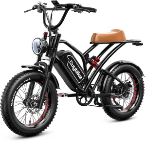 Electric Bike for Adults, 2000W/3000W Peak Single/Double Motor with 48V/52V 25AH/30AH Battery, 20"x4.0" Fat Tires 35MPH/37MPH Ebike, Dual Hydraulic Disc Brake Full Suspension Electric Bicycle