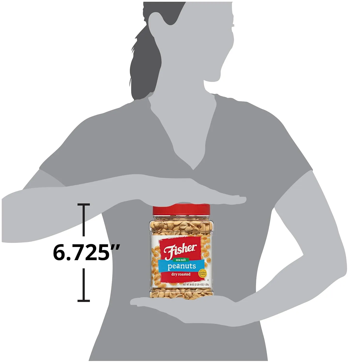 Fisher Snack Sea Salt Dry Roasted Peanuts, 36 Ounces, No Artificial Colors or Flavors