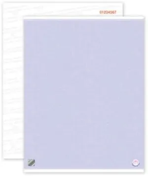 High Security Document Paper with Hologram (Cannot be Photocopied) (200)