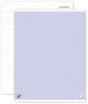 High Security Document Paper with Hologram (Cannot be Photocopied) (200)