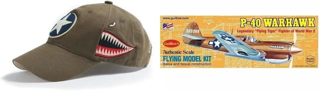 ItsYourAirplane.com 2-Piece WWII Curtiss P-40 Warhawk Grouping