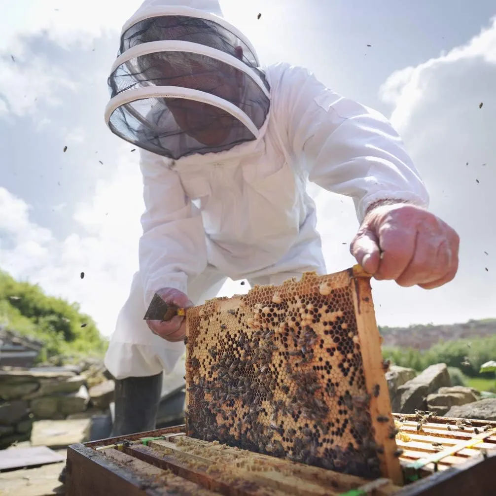 Luwint Bee Suits for Men Sting Proof, Full Body Protection Beekeeping Beekeeper Suit with Gloves and Ventilated Veil Hood (5'9''-5'11'' Height)