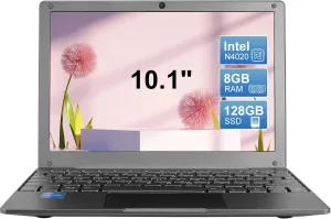 Portable Mini Education Laptop Computer with in tel Celeron N4020 CPU 8GB RAM 128GB SSD HD IPS Screen, Laptop Computer for Learning, Office Work (Gray, 8GB 128GB)