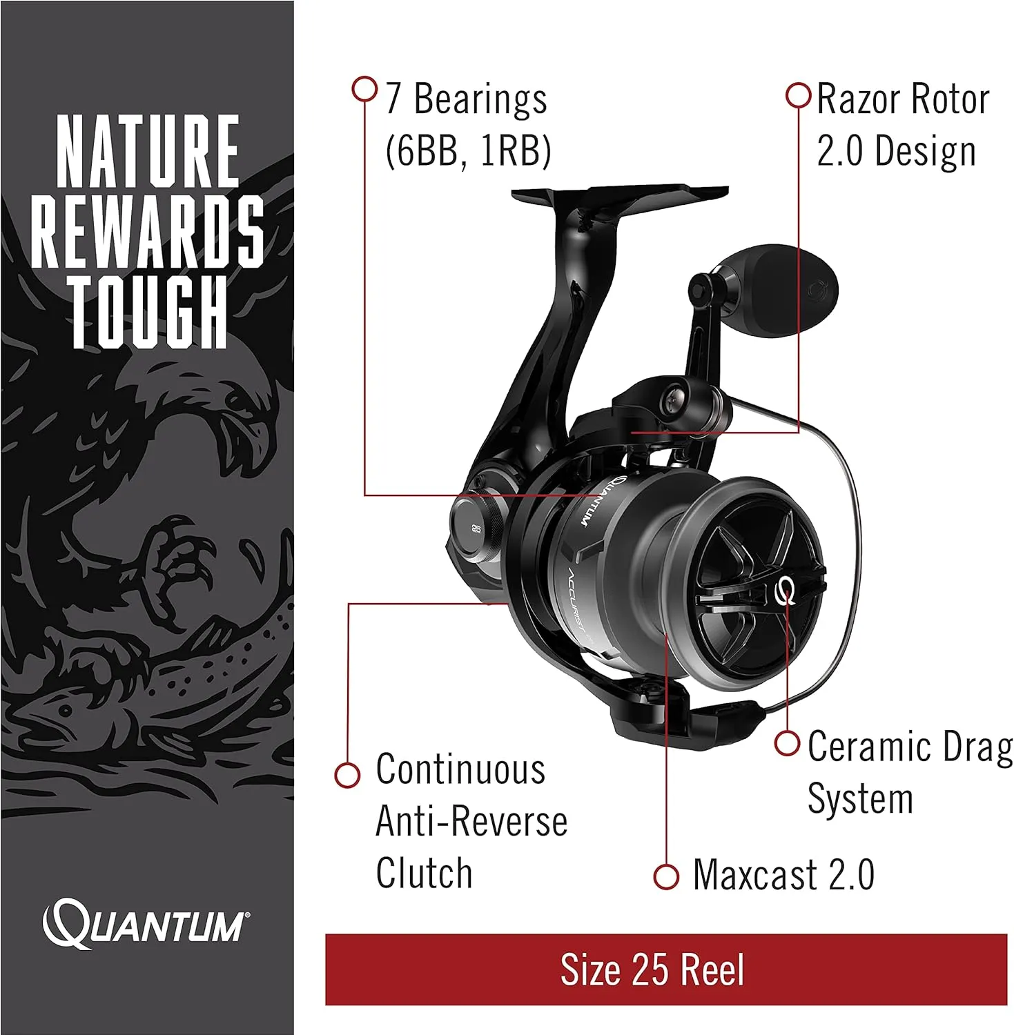 Quantum Accurist Spinning Fishing Reel, Changeable Right- or Left-Hand Retrieve, Oversized Non-Slip Handle Knob and Continuous Anti-Reverse Clutch