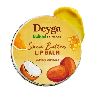 Shea Butter Tinted Lip Balm – 1 Count | Moisturizing Lip Care for Dry & Chapped Lips | For Men & Women | Multicolour