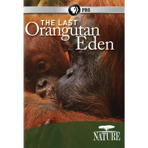 The Last Orangutan Eden