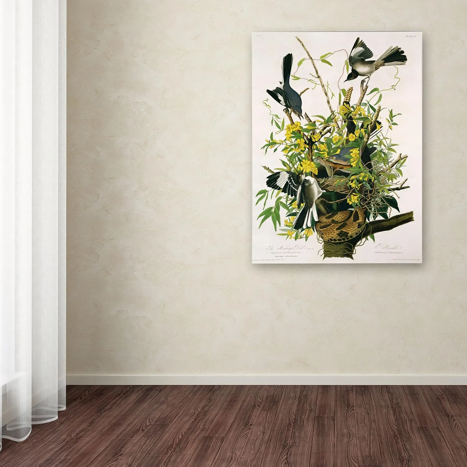 Trademark Fine Art Mocking Birds and Snake II Artwork by John James Audubon, 18 by 24-Inch
