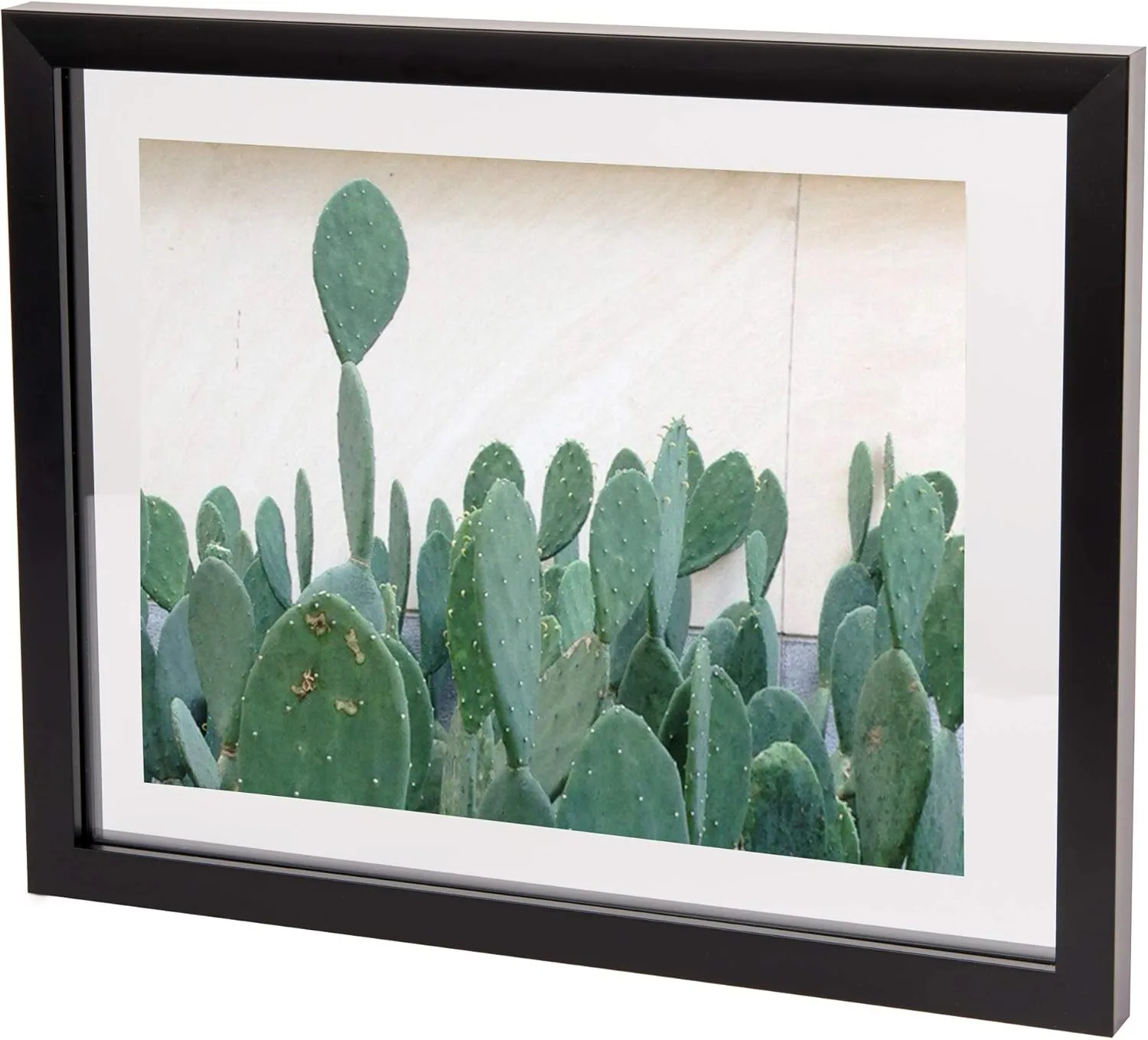 Umbra Frame for Displaying Documents, Diploma, Certificate, Photo or Artwork, 11 x 14 (floats 8-1/2 x 11), Black, 2 Count
